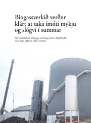 Síða 40