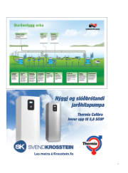 Síða 55