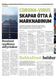 Síða 6