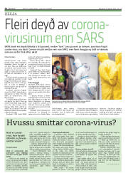 Síða 10