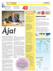 Síða 4