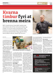 Síða 11