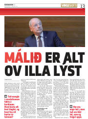 Síða 13