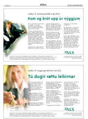 Síða 2