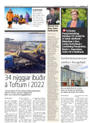 Síða 3