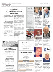 Síða 12