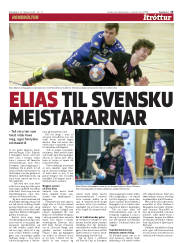 Síða 15
