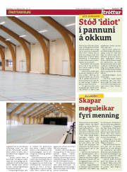 Síða 19