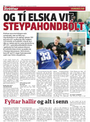 Síða 20