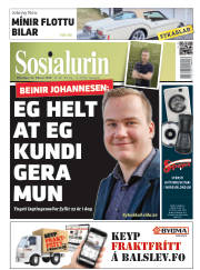 Síða 1