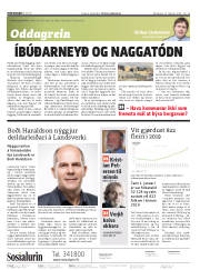 Síða 2