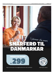 Síða 3