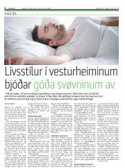 Síða 8
