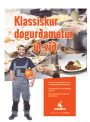 Síða 15