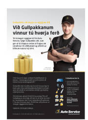 Síða 19