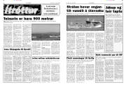 Síða 12