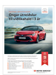 Síða 21