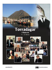 Síða 28