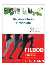 Síða 36