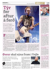 Síða 17