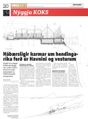 Síða 20