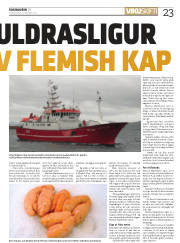 Síða 23