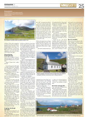 Síða 25