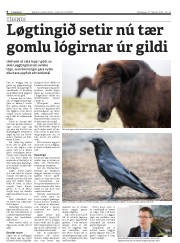 Síða 6