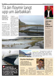 Síða 8