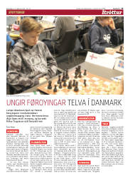 Síða 13