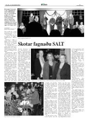 Síða 15