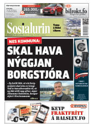 Síða 1