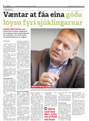 Síða 8
