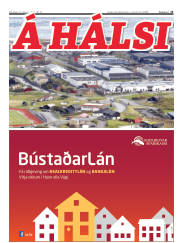 Síða 13