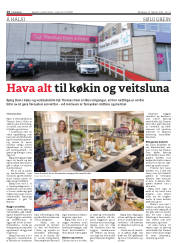 Síða 14