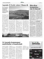 Síða 17