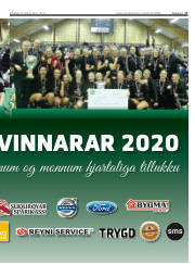 Síða 17