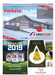 Síða 21