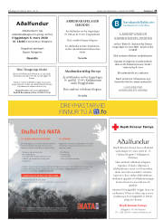 Síða 25