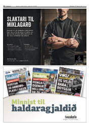 Síða 32
