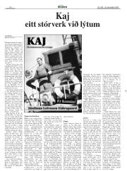 Síða 20