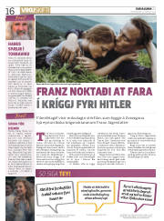 Síða 16