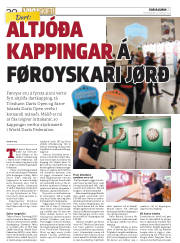 Síða 30