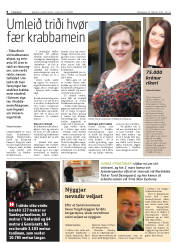 Síða 8