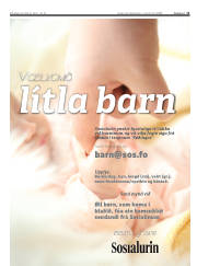 Síða 11