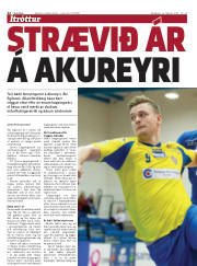 Síða 22