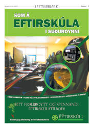 Síða 29