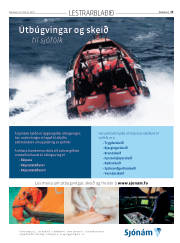 Síða 39