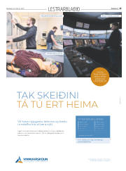 Síða 43