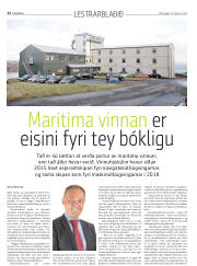 Síða 46